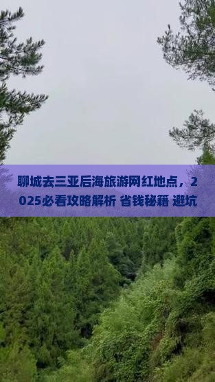 聊城去三亚后海旅游网红地点