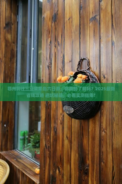 鄂州前往三亚呆呆岛六日游