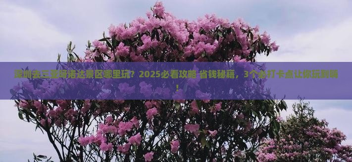 深圳去三亚呀诺达景区哪里玩