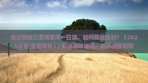 宿迁前往三亚海棠湾一日游