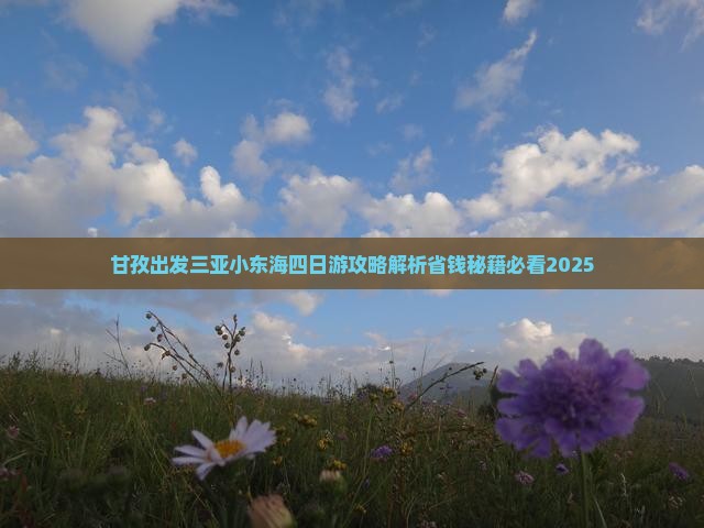 甘孜出发三亚小东海四日游