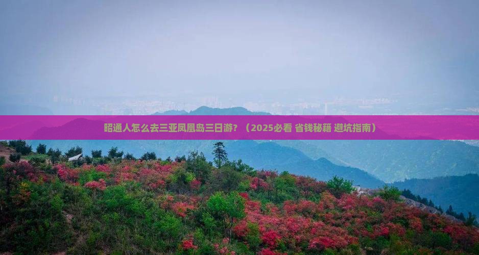 昭通去三亚凤凰岛三日游
