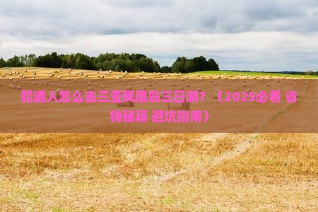 昭通去三亚凤凰岛三日游