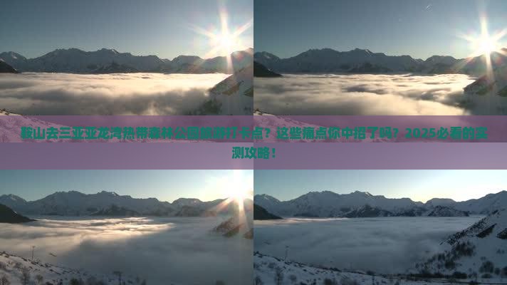 鞍山去三亚亚龙湾热带森林公园旅游打卡点