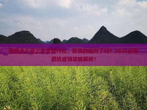 昆明去三亚三亚湾旅行社
