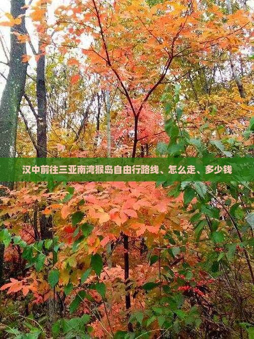 汉中前往三亚南湾猴岛自由行
