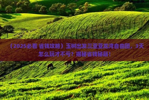 玉树出发三亚亚龙湾自由团