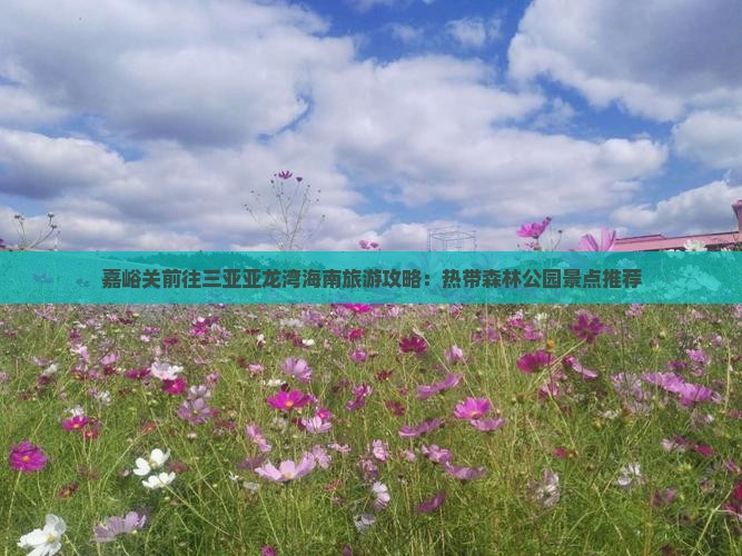 嘉峪关前往三亚亚龙湾热带森林公园自由团
