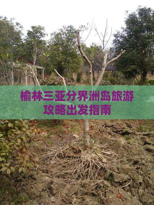 榆林去三亚分界洲岛自由团