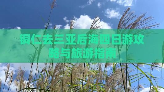 铜仁去三亚后海四日游
