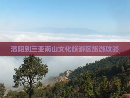 洛阳去三亚南山文化旅游区攻略