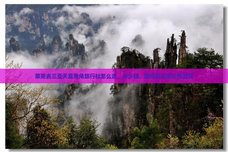 莱芜去三亚天涯海角旅行社