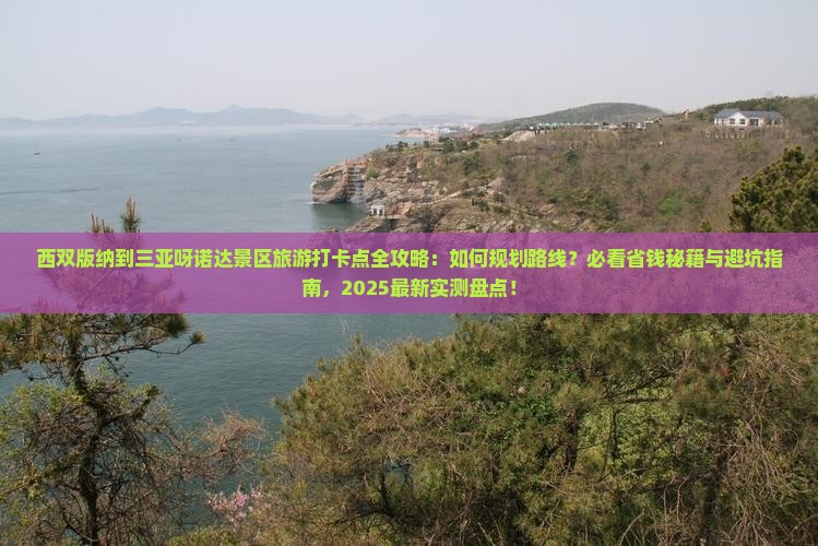 西双版纳前往三亚呀诺达景区旅游打卡点