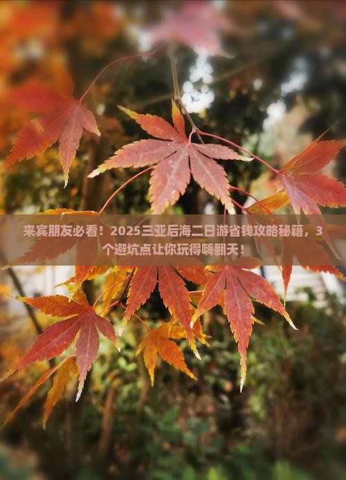 来宾去三亚后海二日游