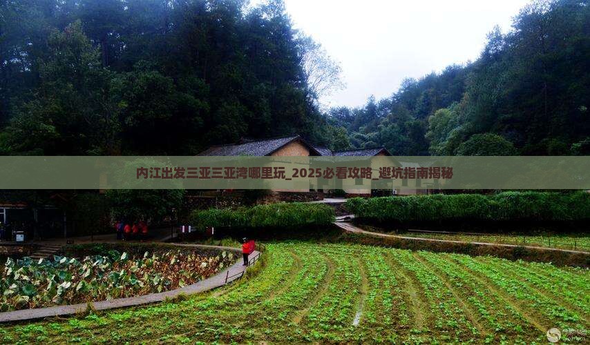 内江出发三亚三亚湾哪里玩