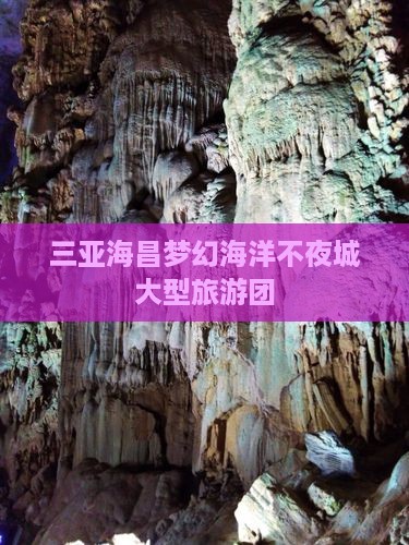 张家界前往三亚海昌梦幻海洋不夜城大型旅游团