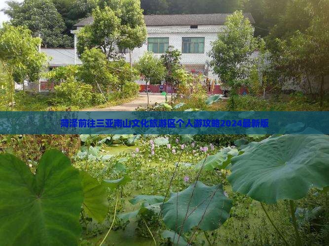 菏泽前往三亚南山文化旅游区个人游