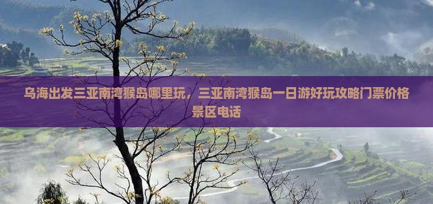 乌海出发三亚南湾猴岛哪里玩