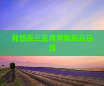 湘西去三亚南湾猴岛五日游