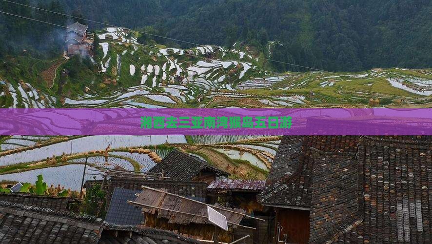 湘西去三亚南湾猴岛五日游