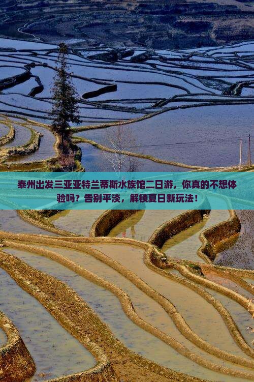 泰州出发三亚亚特兰蒂斯水族馆二日游