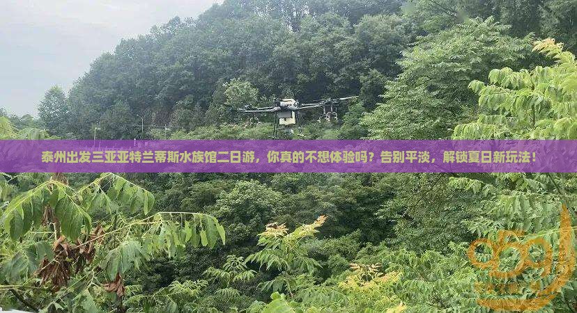 泰州出发三亚亚特兰蒂斯水族馆二日游