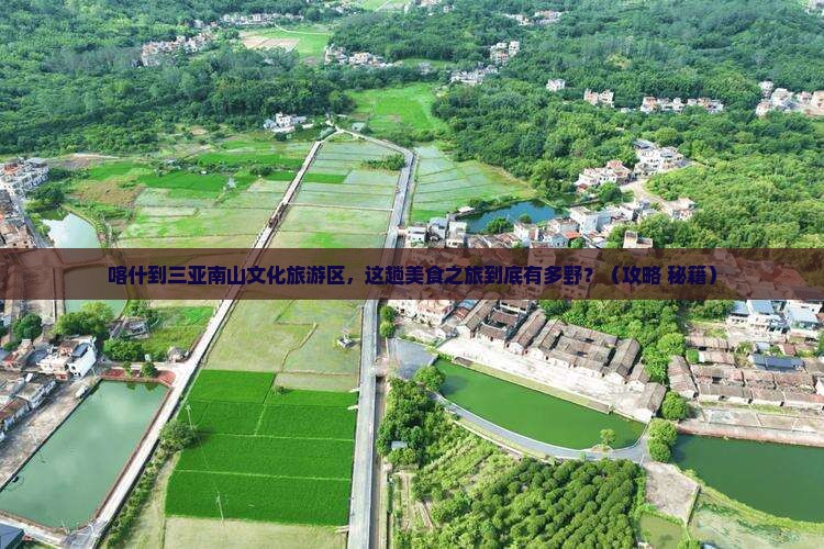 喀什前往三亚南山文化旅游区旅游小吃