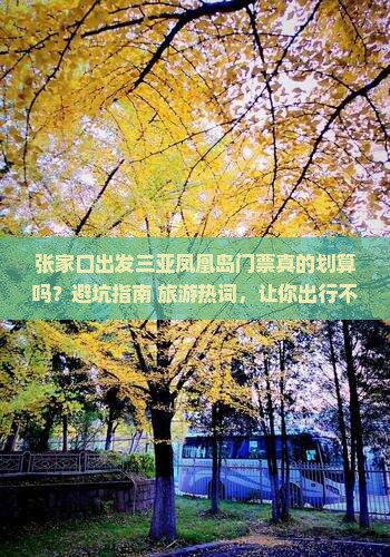 张家口出发三亚凤凰岛门票