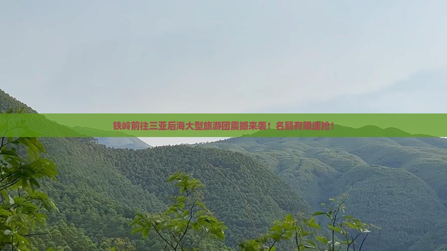铁岭前往三亚后海大型旅游团