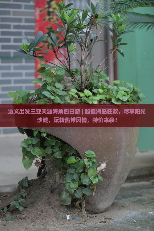 遵义出发三亚天涯海角四日游