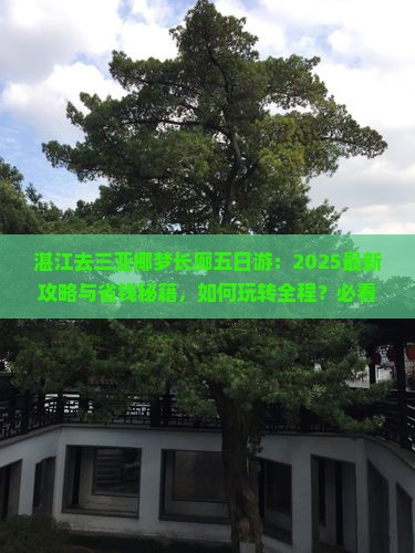 湛江去三亚椰梦长廊五日游