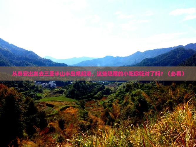 泰安出发三亚半山半岛帆船港旅游小吃