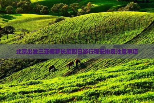 北京出发三亚椰梦长廊四日游