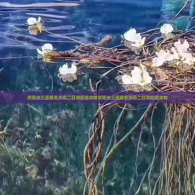 资阳去三亚蜈支洲岛二日游