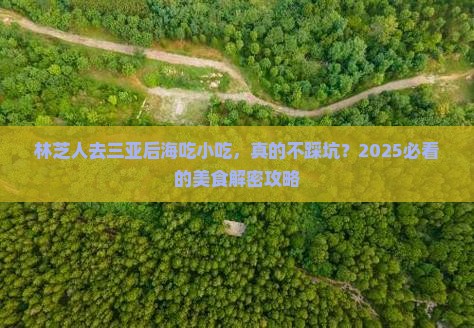 林芝去三亚后海旅游小吃