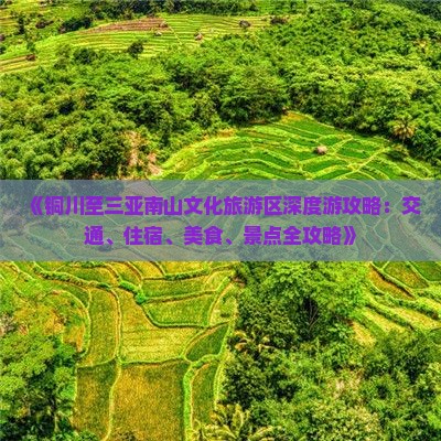 《铜川至三亚南山文化旅游区深度游攻略：交通、住宿、美食、景点全攻略》