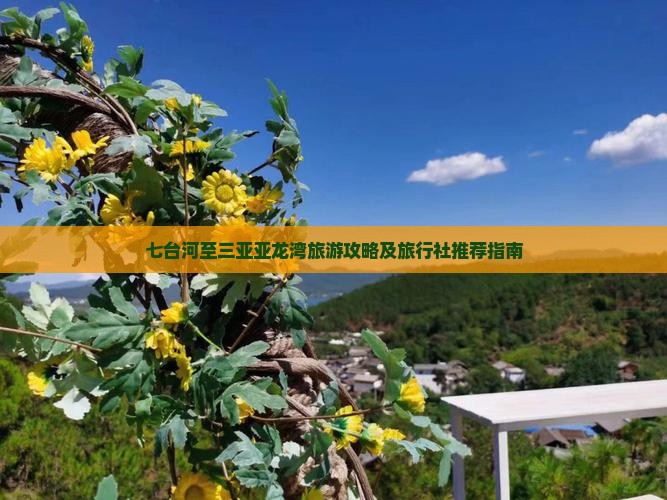 七台河至三亚亚龙湾旅游攻略及旅行社推荐指南