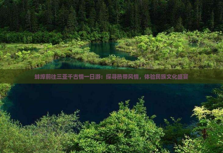 蚌埠前往三亚千古情一日游：探寻热带风情，体验民族文化盛宴