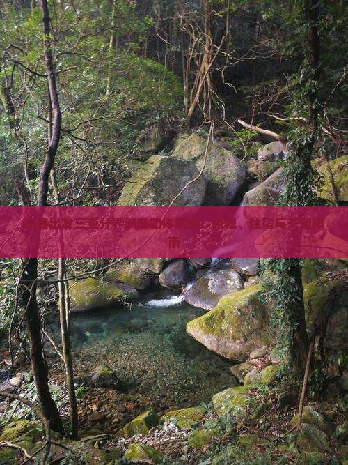 和县出发三亚分界洲岛团体旅游：路程、住宿与交通指南