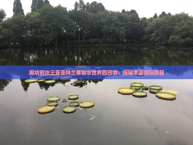 廊坊前往三亚亚特兰蒂斯水世界四日游：探秘丰富游玩项目