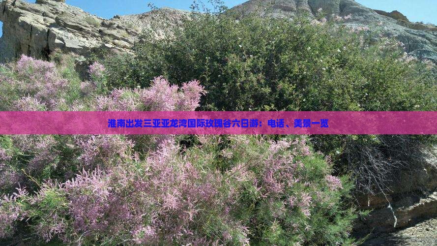 淮南出发三亚亚龙湾国际玫瑰谷六日游：电话、美景一览