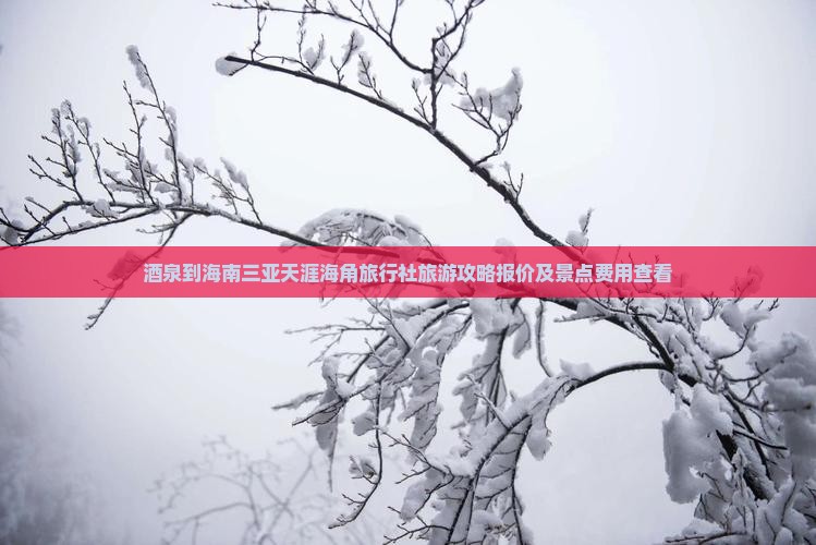 酒泉到海南三亚天涯海角旅行社旅游攻略报价及景点费用查看