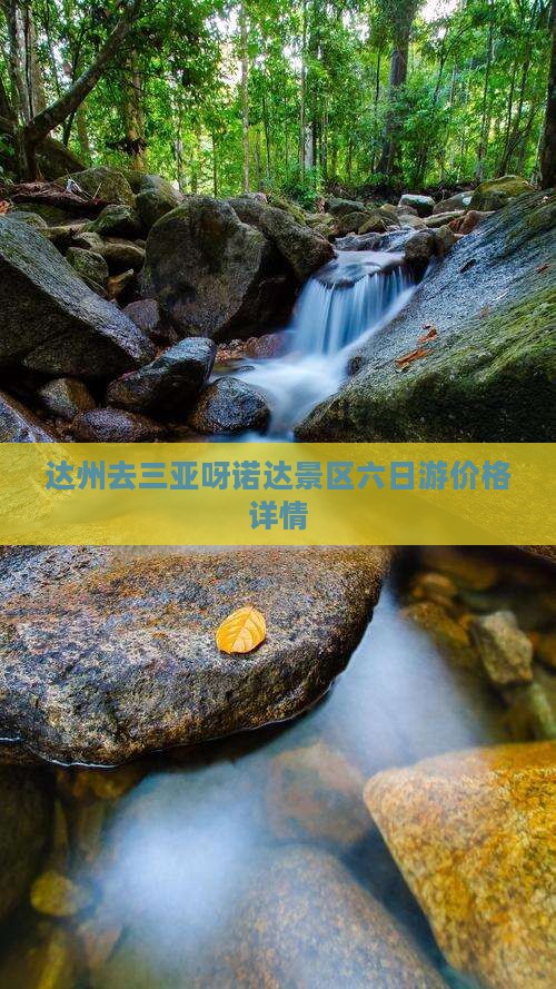 达州去三亚呀诺达景区六日游价格详情