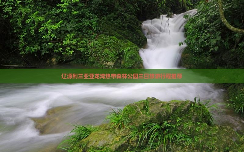 辽源到三亚亚龙湾热带森林公园三日旅游行程推荐