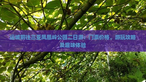 运城前往三亚凤凰岭公园二日游：门票价格、游玩攻略及趣味体验