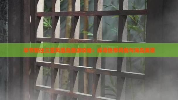 毕节前往三亚凤凰岛旅游攻略：探寻热带风情与海岛美景