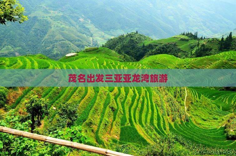 茂名出发三亚亚龙湾旅游