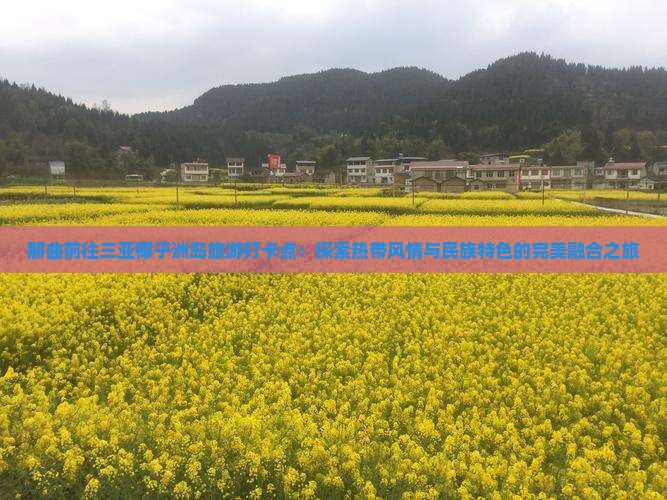 那曲前往三亚椰子洲岛旅游打卡点：探索热带风情与民族特色的完美融合之旅