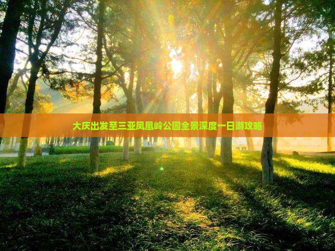 大庆出发至三亚凤凰岭公园全景深度一日游攻略