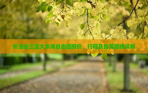 长治去三亚大东海自由团报价、行程及自驾路线详解